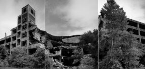 shapeoftheliving_websize